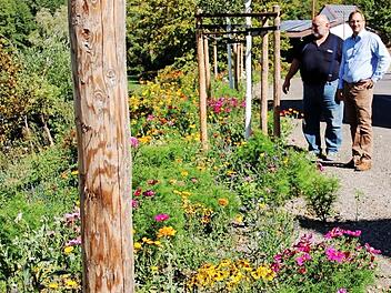 Stolz sind Bürgermeister Wolfram Thein und sein Bauhofleiter Gerd-Peter Schmidt (von rechts) auf den Blühstreifen in der Kellergasse in Maroldsweisach. Foto: Helmut Will
