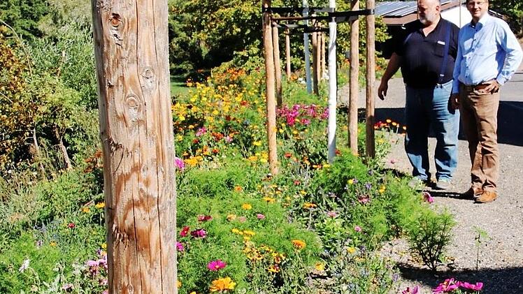 Stolz sind Bürgermeister Wolfram Thein und sein Bauhofleiter Gerd-Peter Schmidt (von rechts) auf den Blühstreifen in der Kellergasse in Maroldsweisach. Foto: Helmut Will