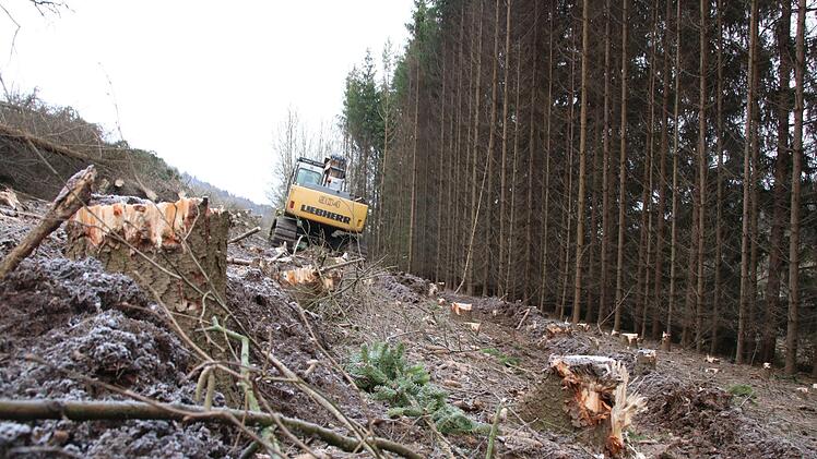 Derzeit laufen Rodungsarbeiten zwischen Kauerndorf und Untersteinach. Foto: Jürgen Gärtner