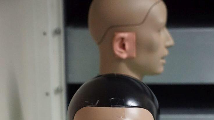 Die Lange Nacht der Wissenschaften präsentierte  spannende Einblicke.