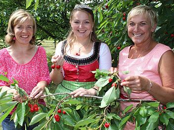 Kreisbäuerin Rosi Kraus, Kirschenkönigin Marina I. aus Weilersbach und Vize-Kreisbäuerin Christine Werner (von rechts) verführen mit den süßen Früchten.  Fotos: Karl-Heinz Frank