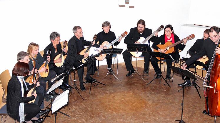 Das gesamte Zupfmusikensemble, ganz links die Leiterin Iris Hammer (Mandoline), fünfter von links Thomas Hammer (Mandola) Foto: Johanna Blum