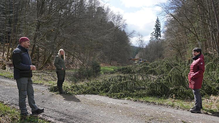 Bäume wurden gefällt und quer über den Weg gelegt, um Wanderern und  Spaziergängern deutlich zu machen, dass sie hier nicht weiter gehen sollen. Foto:  Marion Eckert