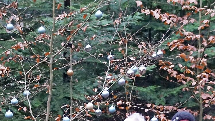 Sie hängen in Eltmann die Kugeln in den Wald: Andrea und Jürgen Neuß.