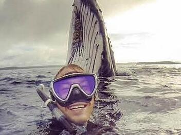 Selfie mit Wal  Foto: Will Rosner