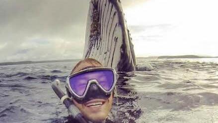 Selfie mit Wal  Foto: Will Rosner