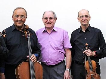 Das Bamberger Streichquartett mit Raúl Teo Arias, Karlheinz Busch, Andreas Lucke, Branko Kabadaic (von links) sowie Organisator Julian Roth (Mitte) haben für die neue Spielzeit 2017/18 in Schloss Oberschwappach ein abwechslungsreiches Programm erstellt. Foto: C. Reuther
