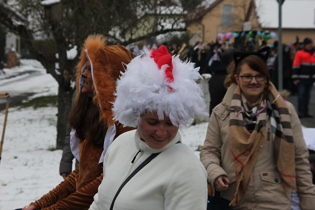Faschingsumzug in Oberhaid