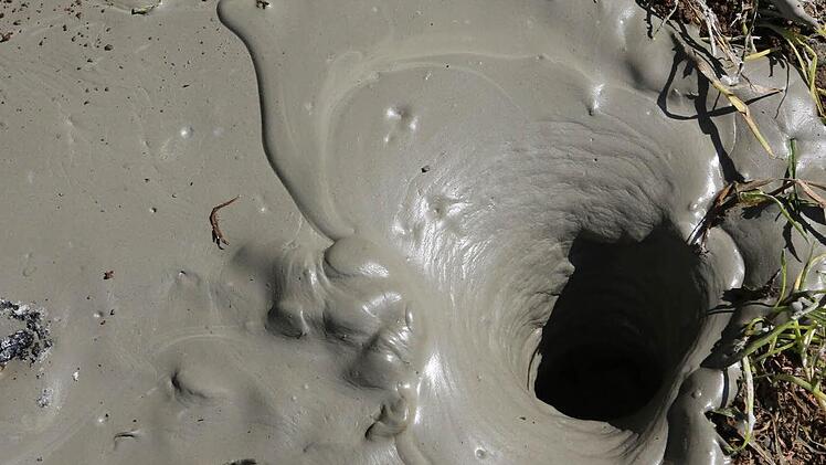 Die verwendete Betonemulsion härtet im Boden aus. Foto: Barbara Herbst