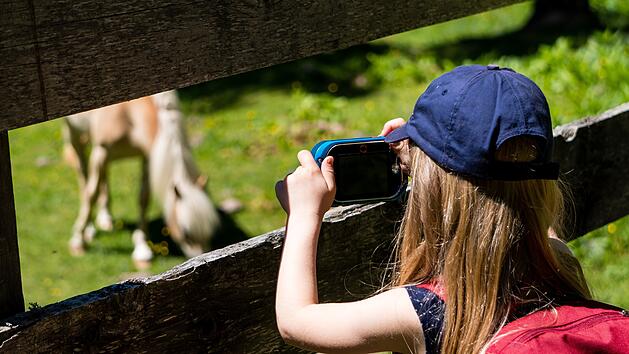 Hof: Alpakas, Pferde, Wildpark und Co. - was das Pfingstferienprogramm 2023 bietet