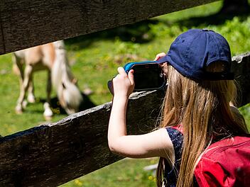 Hof: Alpakas, Pferde, Wildpark und Co. - was das Pfingstferienprogramm 2023 bietet