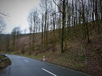 Mit einem Blühwald am "Eifinger Berg" (unser Bild) soll noch in diesem Jahr ein erstes Naturschutzprojekt aus Mitteln der Ersatzzahlungen für die Windenergieanlagen umgesetzt werden.  Werner Reißaus