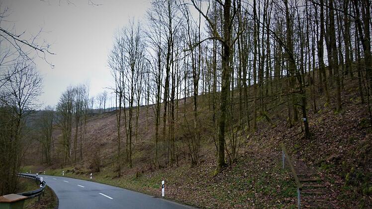 Mit einem Blühwald am "Eifinger Berg" (unser Bild) soll noch in diesem Jahr ein erstes Naturschutzprojekt aus Mitteln der Ersatzzahlungen für die Windenergieanlagen umgesetzt werden.  Werner Reißaus