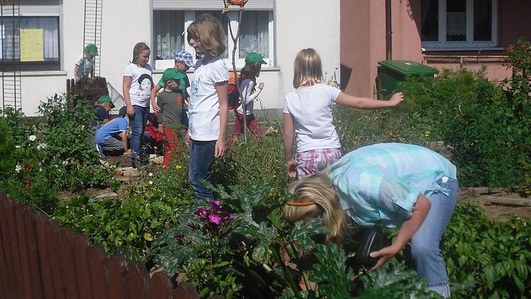 Die "schlauen Füchse" bei der Arbeit in ihrem Garten in der Ortsmitte von Neubrunn.  Fotos: Günther Geiling
