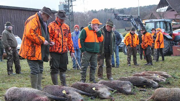 Archiv/Stephan Tiroch