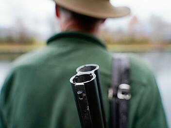 Jagdwilderei bei Sch&ouml;nau