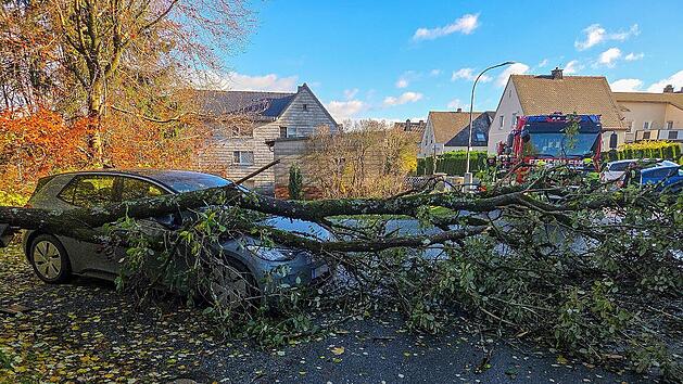 Sturmschaden in Steinbach am Wald: Baum trifft geparktes Auto