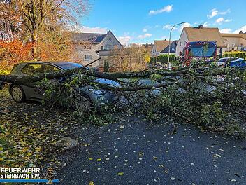 Sturmschaden in Steinbach am Wald: Baum trifft geparktes Auto Sturmschaden in Steinbach am Wald: Baum trifft geparktes Auto
