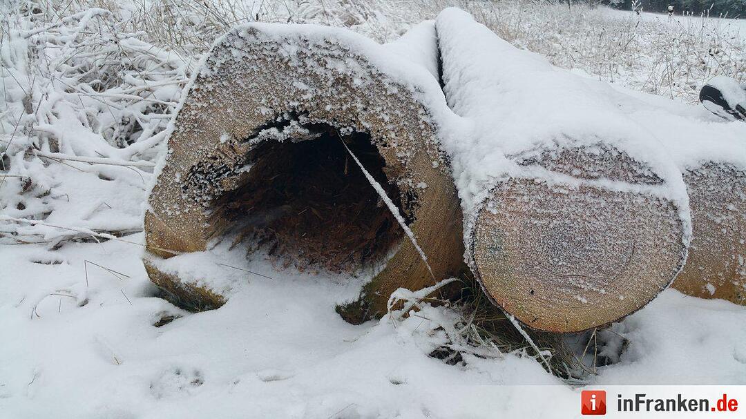 Schnee in Franken Januar 2017 - Leserfotos