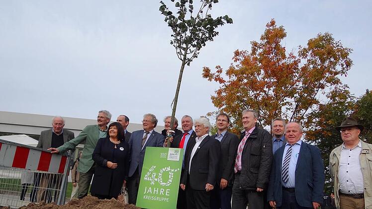 Eine Jubiläumslinde für die Kreisgruppe des Bund Naturschutz im Landkreis Haßberge: Gern hätten die Naturschützer zusammen mit den Gästen aus der Politik ihren Baum gepflanzt. Doch war das Loch zu groß gebuddelt und so musste der Baum noch etwas auf den Wurzelschlag warten. Die Linde soll den Kindern auf dem neu angelegten Spielplatz in der Alten Kaserne in einigen Jahren Schatten spenden. Fotos: Johanna Eckert