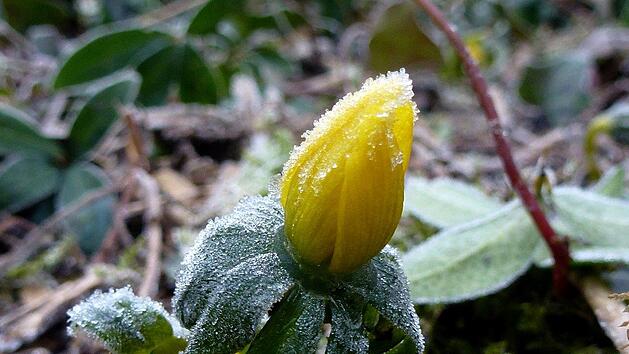 Wetter an Ostern 2022: Erst Saharastaub, dann Schneeregen? So turbulent wird es