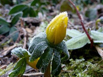 Wetter an Ostern 2022: Erst Saharastaub, dann Schneeregen? So turbulent wird es
