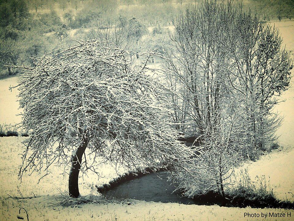 Schnee und Eis - Die schönsten Aufnahmen aus Franken