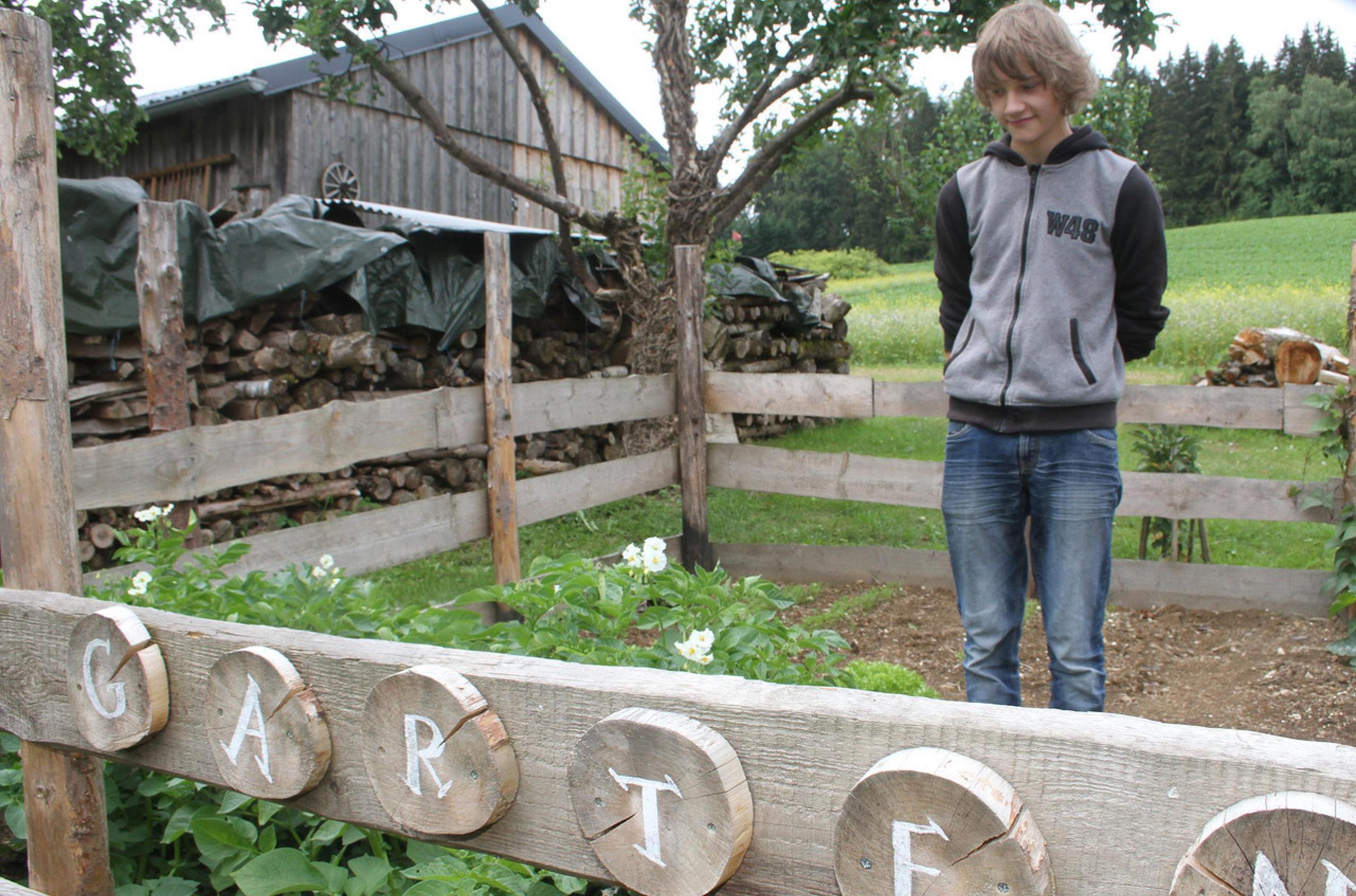 Grafengehaig wie es grünt und blüht