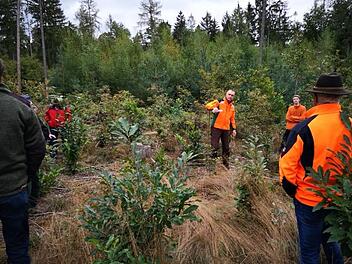 Privatwaldbesitzer sind auf Waldbegehung im Auerberg unterwegs. Foto: Mathias Erlwein