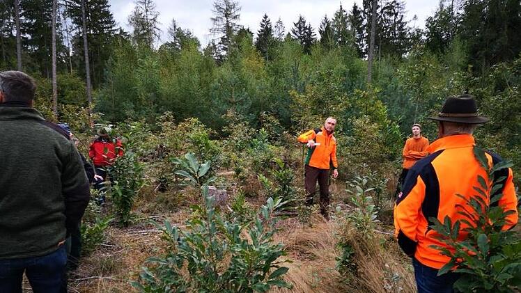 Privatwaldbesitzer sind auf Waldbegehung im Auerberg unterwegs. Foto: Mathias Erlwein