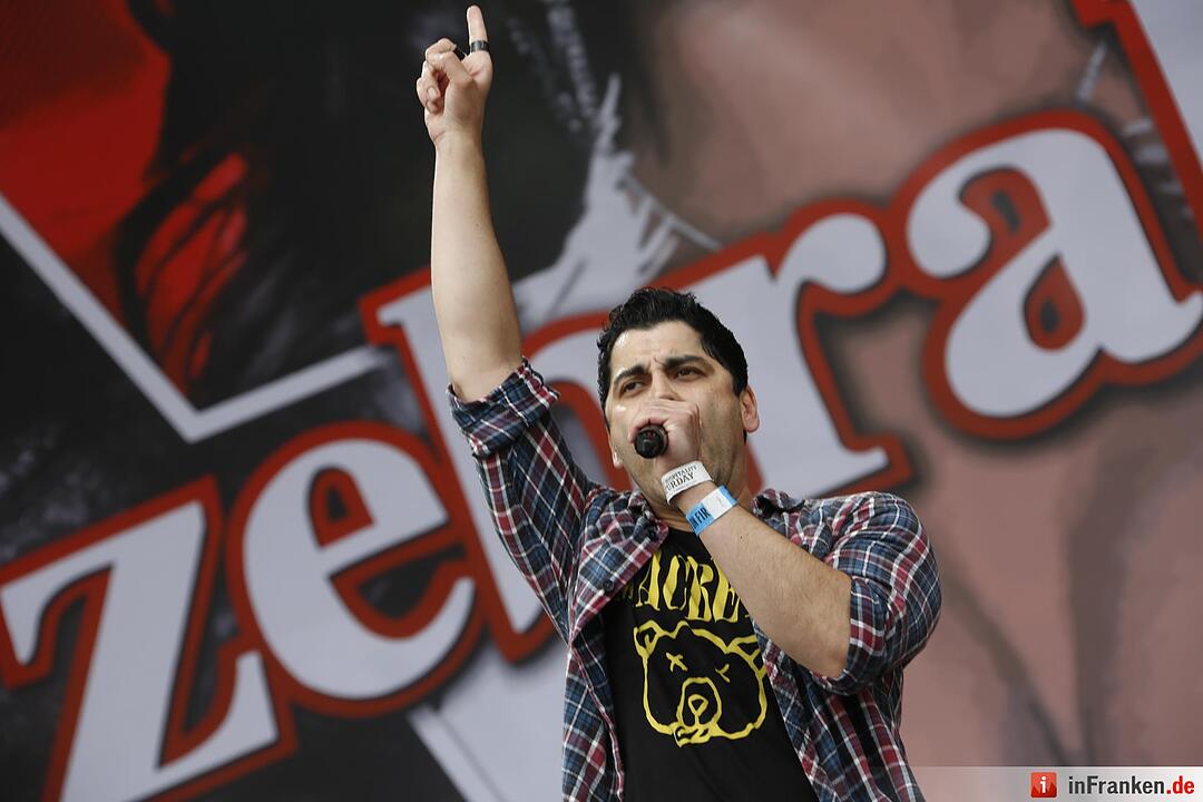 RIP15 - Zebrahead