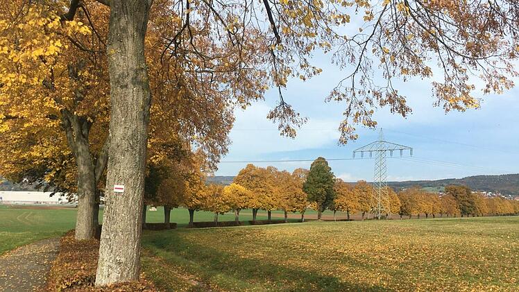 Doppelweg vom Seubelsdorfer Kreuz nach Vierzehnheiligen, angelegt auf Initiative von Eugen Horber im Herbst 2020