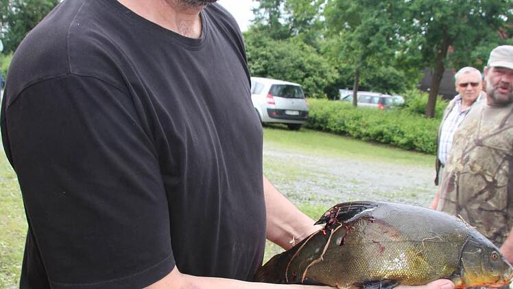 Königsfischen des Bezirksfischereivereins in Kulmbach Foto: Sonny Adam