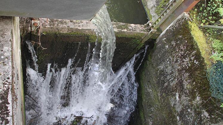 Äste und Unrat landen in einem Auffangbecken.