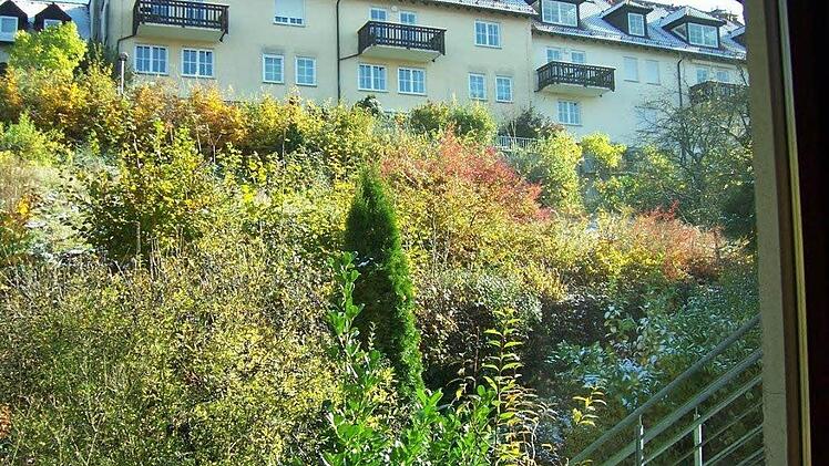Vorher: Oberhalb des noch unbebauten Gartens sieht man links das Haus Würzburger Straße 4, in dem Familie Rogatti wohnt.