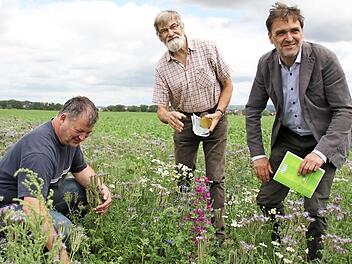 Landwirt Klaus Merkel, Imker Reinhard Hölzner und Herbert Lang vom Amt für Landwirtschaft und Ernährung (von links) auf einem Blühstreifen bei Mariaburghausen  Fotos: Andreas Lösch