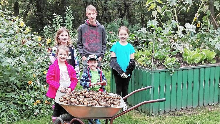 Die Stockheimer Naturkids Leon Scheler, Katharina Förtsch, Lina Detsch, Annika Rebhan und Mats Pfalz freuten sich über den Ernteertrag im Bergwerksgarten.  Foto: Gerd Fleischmann