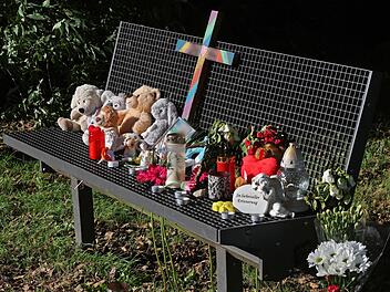 Kind (6) in Pragsdorf erstochen - Prozess gegen Teenager