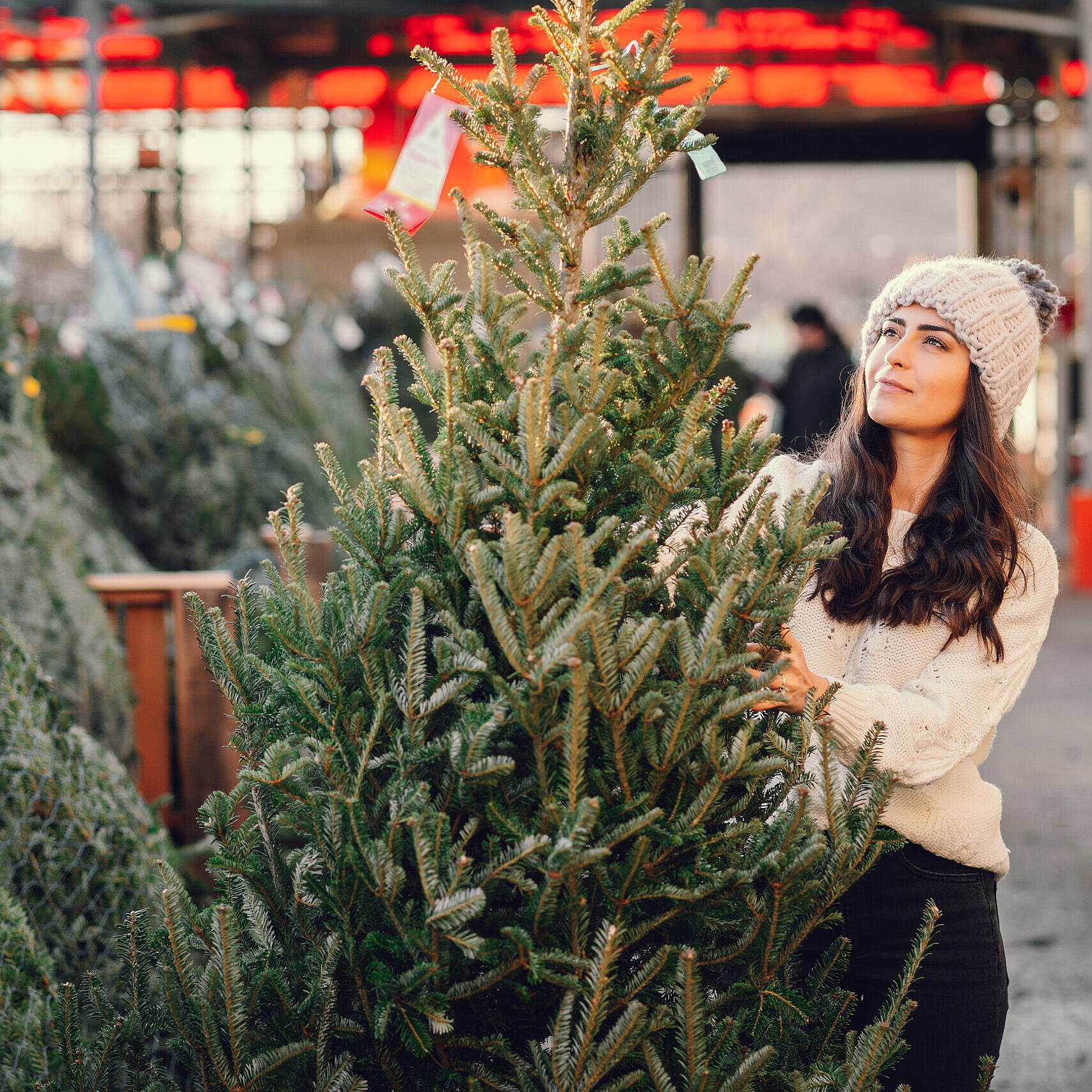 Du musst dich entscheiden: Weihnachtsbaum  echte Tanne oder Plastik?