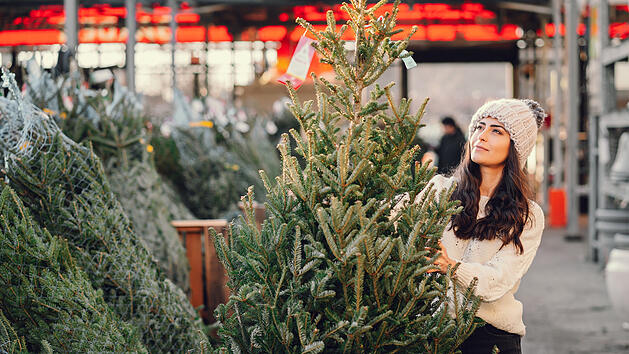 Weihnachtsbaum - echte Tanne oder Plastik? &Ouml;ko-Test zeigt die besten Varianten