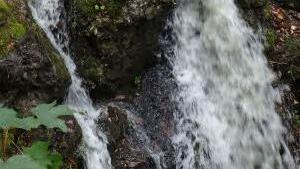 Rauscht in diesen Tagen mächtig: künstlicher Wasserfall im Park von Schloss Rosenau.Foto: Jochen Berger