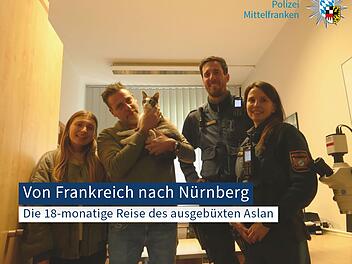 Nürnberg: Knapp 400 Kilometer gereist- Kater war 18 Monate verschwunden