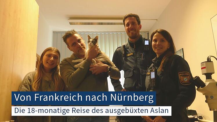 Nürnberg: Knapp 400 Kilometer gereist- Kater war 18 Monate verschwunden