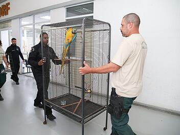 Großer Schlag gegen den illegalen Tierhandel in Brasilien