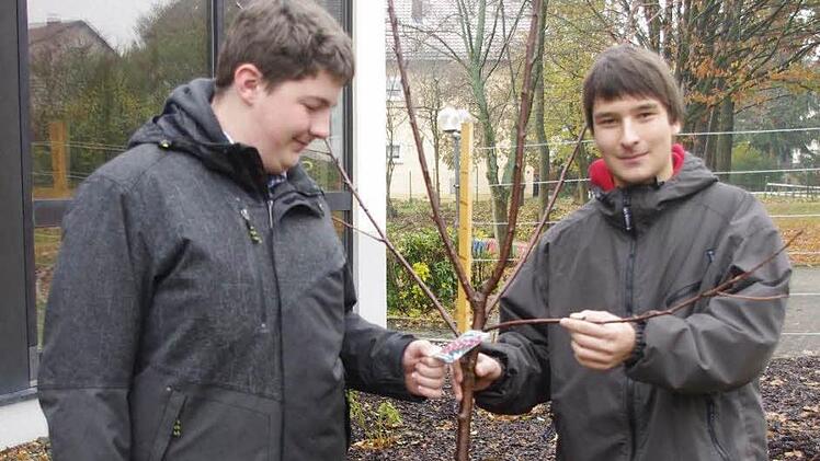 Felix Boxdörfer (links) und Tobias Zahner hoffen, dass der von ihnen gepflanzte Kirschbaum in ein paar Jahren Früchte trägt. Fotos: Heike Schülein