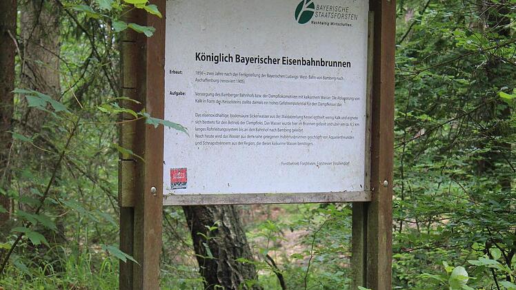 Leserwanderung im Hauptsmoorwald. Foto: Michael Memmel