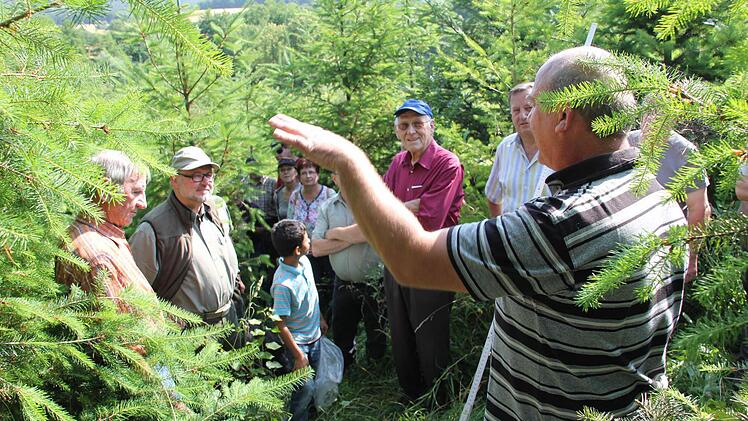Inmitten lauter Douglasien: Bernhard Schmitt (rechts) präsentierte ein Turbo-Nadelholz.Fotos: Ralf Kestel
