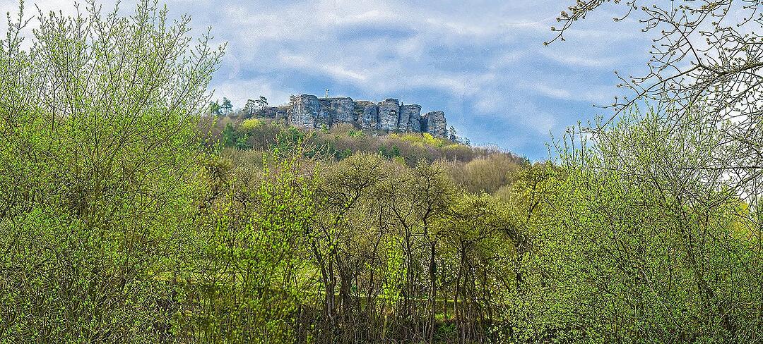 Die schönsten Fotos im April aus Lichtenfels und Umgebung