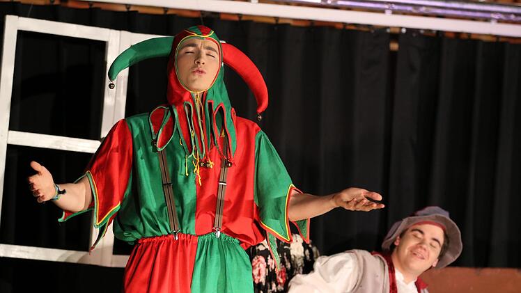 Die Theatergruppe des Franz Miltenberger Gymnasiums spielte "Was ihr wollt" von William Shakespeare. Fotos Sebastian Schmitt