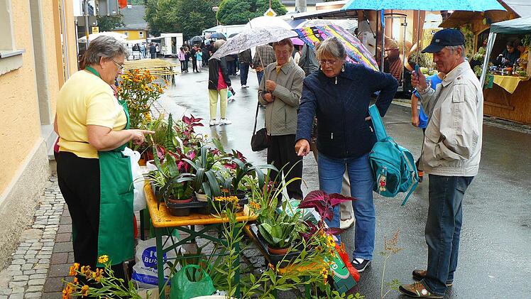 Die Gartenfreunde verkauften auch Pflanzen.